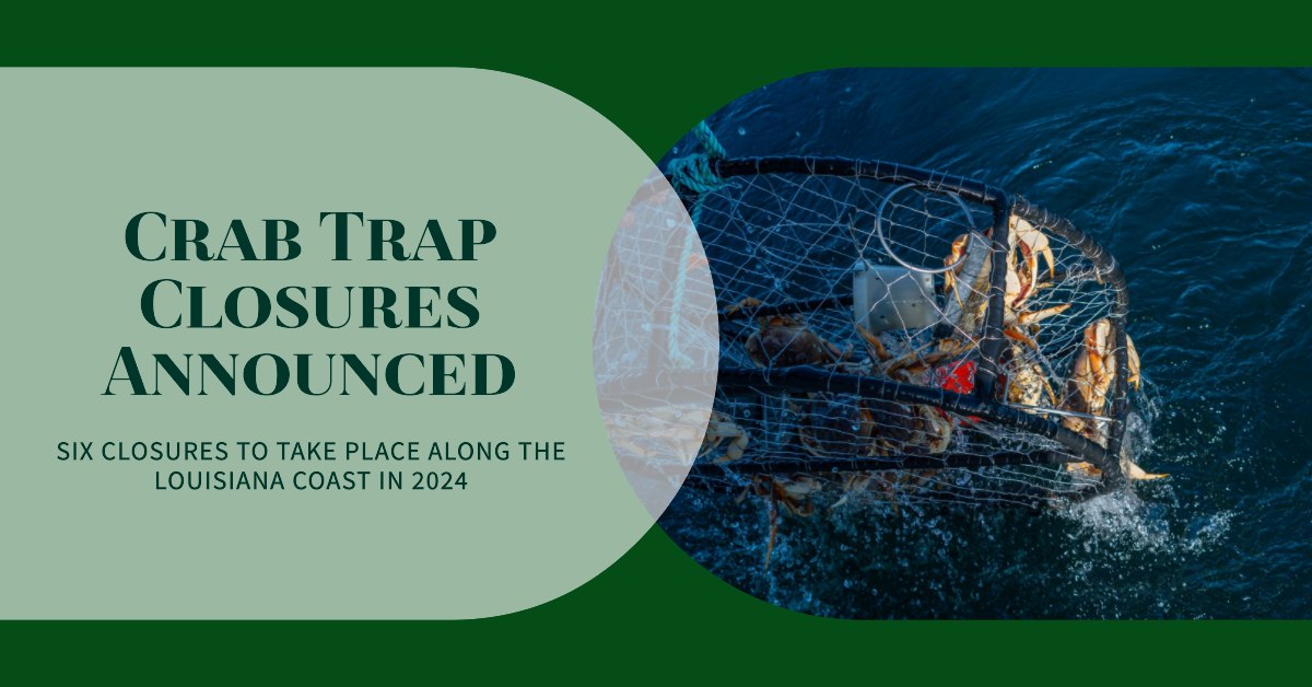 Coastal Crab Trap Closures 2024: Sustainable Management Plan